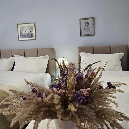 In شقة تيرانا